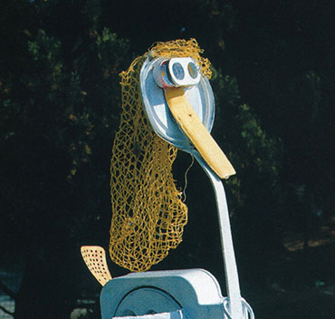 Cigna ovaiola